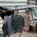 지성세탁 이미지