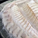 참바다회(독도수산) 이미지