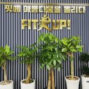 핏미업 피티샵 네이버블로그