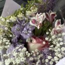 바른 청소년 오케스트라 창단연주회 이미지