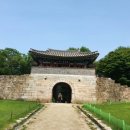 영월한반도캠핑장 이미지