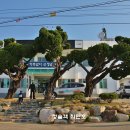 평해읍사무소 이미지