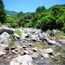 가평 숲속의 계곡 펜션 이미지