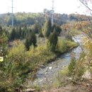 조이네집 이미지