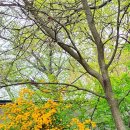 울타리천국 이미지