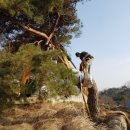 하루농장 이미지