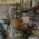 식물원로 이미지