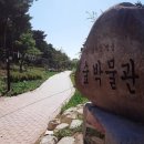 속초시박물관 이미지