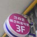 안산크라운애견미용학원