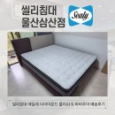 바바루아 | 울산씰리 에일레 다이아몬드 플러쉬, 바바루아 프레임 배송후기