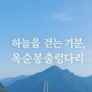 버스승차대 15-222 | 하늘을 걷는 기분, 옥순봉출렁다리☁️｜제천 여행에서 만난 특별한 순간