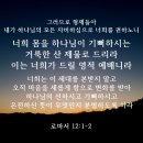 [자녀교육] 레위기 - 세상 문화를 따르지 말라 1 이미지