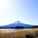 후지산 - 서대문구 연희로 79 | 후지산