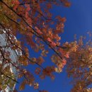 사가정로51길 (11) 이미지