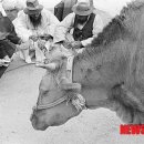 서울푸줏간 이미지