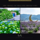 지세포로 이미지