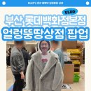 삼라만상 | 얼렁뚱땅상점 부산 팝업후기, 삼라만상 모자 구매 !