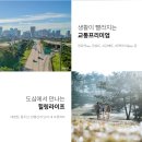 장유정보 이미지