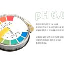 정화헤어 이미지