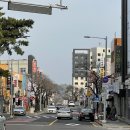 천제연로 이미지