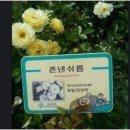 꽃을주는사람 이미지