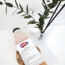 지앤엘유통 | 홈카페에서 즐기는 복숭아스무디, 복숭아라떼, 복숭아에이드 베이스 지앤엘푸드 베리업 피치