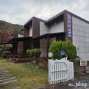 밀양 | 단장면 밀양댐 숙소 수영장가족쏠마레펜션 밀양수영장펜션 후기