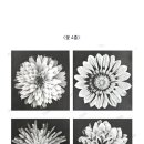 디자인봄미술학원
