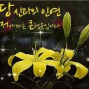 우주전기 이미지