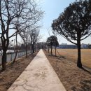 서호잔디광장 이미지