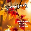 영월교회 앞 이미지