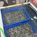 인천강남시장 | 대부도바지락칼국수 인천강남시장 가본후기 내돈내산