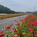 가덕환경자원 이미지