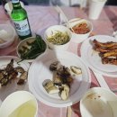 더비치필로스펜션