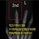 장원손해사정행정사사무소 이미지