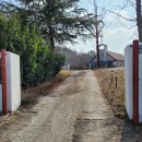 노안삼도로 이미지