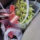 모아판촉 | 대전 개업 기념 에코백 제작 납품 후기