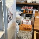 당당이 애견 이미지