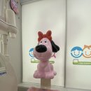 순천 킴치과의원 | 순천 영유아구강검진 아이틴주니어치과 후기 아동 전문