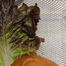 마포, 걷고싶은길 4코스 이미지