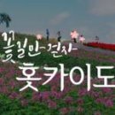 서강여행사