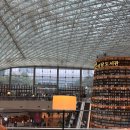 책숲길도서관 | 서울 중심에서 만나는 책의 숲, 코엑스 별마당 도서관 방문 후기