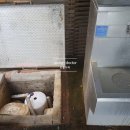 녹천약수터 이미지