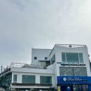 강릉 영진해변 식당 솔직후기｜영진횟집｜솔향촌