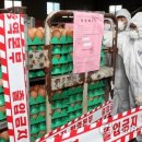 김용태농장 이미지