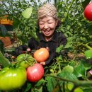 감천슈퍼 이미지