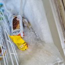 엑스칼리버피시방 이미지