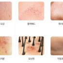 지구청소 이미지