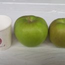 행복애농원 이미지