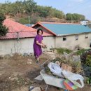 수레로3 이미지